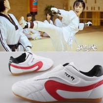 Children's Taekwondo Shoes Professional Women's Shoes Girls Men's Training Shoes Boys Kung Fu Wushu Beginners Winter Women