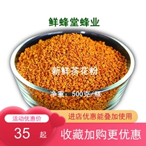 Fresh Fengtang new natural camellia bee pollen bee farmers selling agricultural products base pure and pollution-free 500 grams