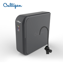 American Culligan Conrigan Home Kitchen Formula Terminal Water Purification Straight Drinking Pure Water AVE-R600M