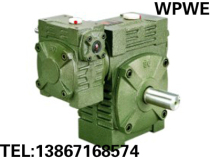 Factory direct WPWE155-250#two-stage worm gear reducer reducer transmission standard 94 copper
