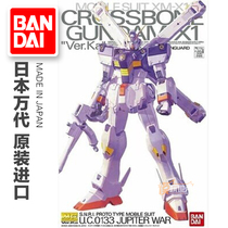 Bandai MG 1 100 CrossBone X-1 Ver Ka Card Version Skull Pirate Gundam X1