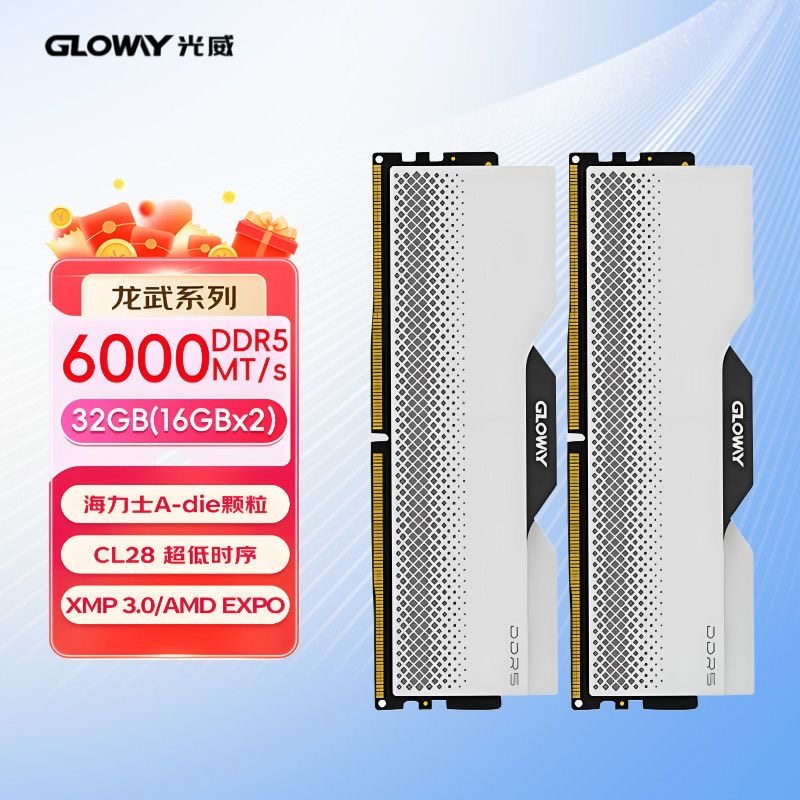 GLOWAY 龙武系列 DDR5 6400 48GB（24×2 ）メモリー GLOWAY 龙武系列