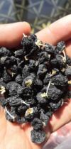 Xinjiang Te-level Wild Black Wolfberry King Boutique 200g