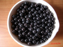 SIC silicon carbide ceramic balls 6 35 6 747 7 938 8 731 9 525 10 0 12 0 12 7