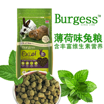 Spot second issued August 2022 B urgess Buggs into rabbit grain mint adult rabbit grain 4kg big bag