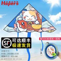 Kite adults special creative 2021 new net red new special spring tour Senior girls boys