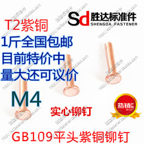 M4 series GB109 flat head copper rivets solid rivets 1kg nationwide