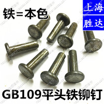 The natural color GB109 flat iron rivet solid rivet 1kg Price 6*20 3*25