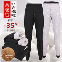 Winter mens camel wool cotton pants middle-aged and elderly four layers thick and fat large size high waist warm pants northeast big cotton pants old man