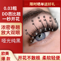 European and American second flowering 0 03dd Barbie teething with a hair Russian-style dense extra-long 16 pure black grafting eyelashes