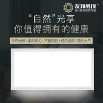(AIA ceiling) professional waterproof lighting kitchen lamp model LED138