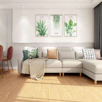 Ash Natural Floor Parquet