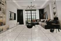 Negative ion functional brick all-body all-porcelain modern simple light luxury living room floor tiles