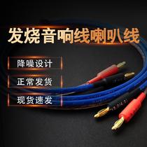 Fidelity universal fever-grade banana double-headed power amplifier speaker cable Speaker cable Gold-plated professional surround sound cable