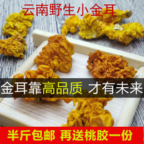  250g wild golden ear fungus brain ear golden ear Yunnan plateau specialty dry goods can be paired with saponin rice