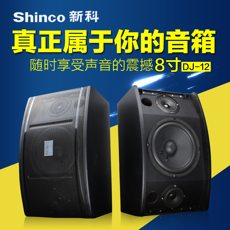 Shinco/Xinke DJ-12 Family KTV Audio 8-inch Cabinet High Power Conference Activity Karaok