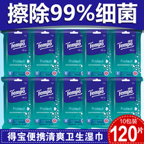 Tempo Depot Adult Wiping Portable Wet Wipes Sanitary Wiping Paper 120 PIP