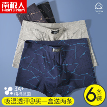Antarctic cotton men's underwear antibacterial breathable large size loose boys seamless boxer underpants boxer shorts head