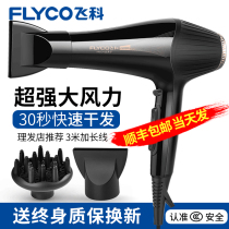 Feike electric hair dryer high power 3000W home wind 5000W negative ion hair care mens hair salon dedicated