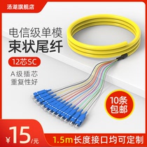 Tanghu 12-core bundle pigtail SC square head single mode fiber jumper telecom grade can be customized FC ST pigtail