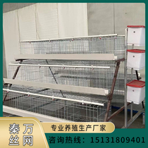 Manufacturers full set of egg chicken cage rearing field laminated stepped domestic breeding large cage Automatic Qingdung assembly equipment