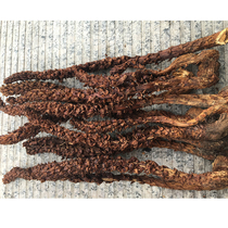 Northeast Bulao grass cistanche Listang 50 grams Northeast specialty brewing wine boiling soup boiling water tea