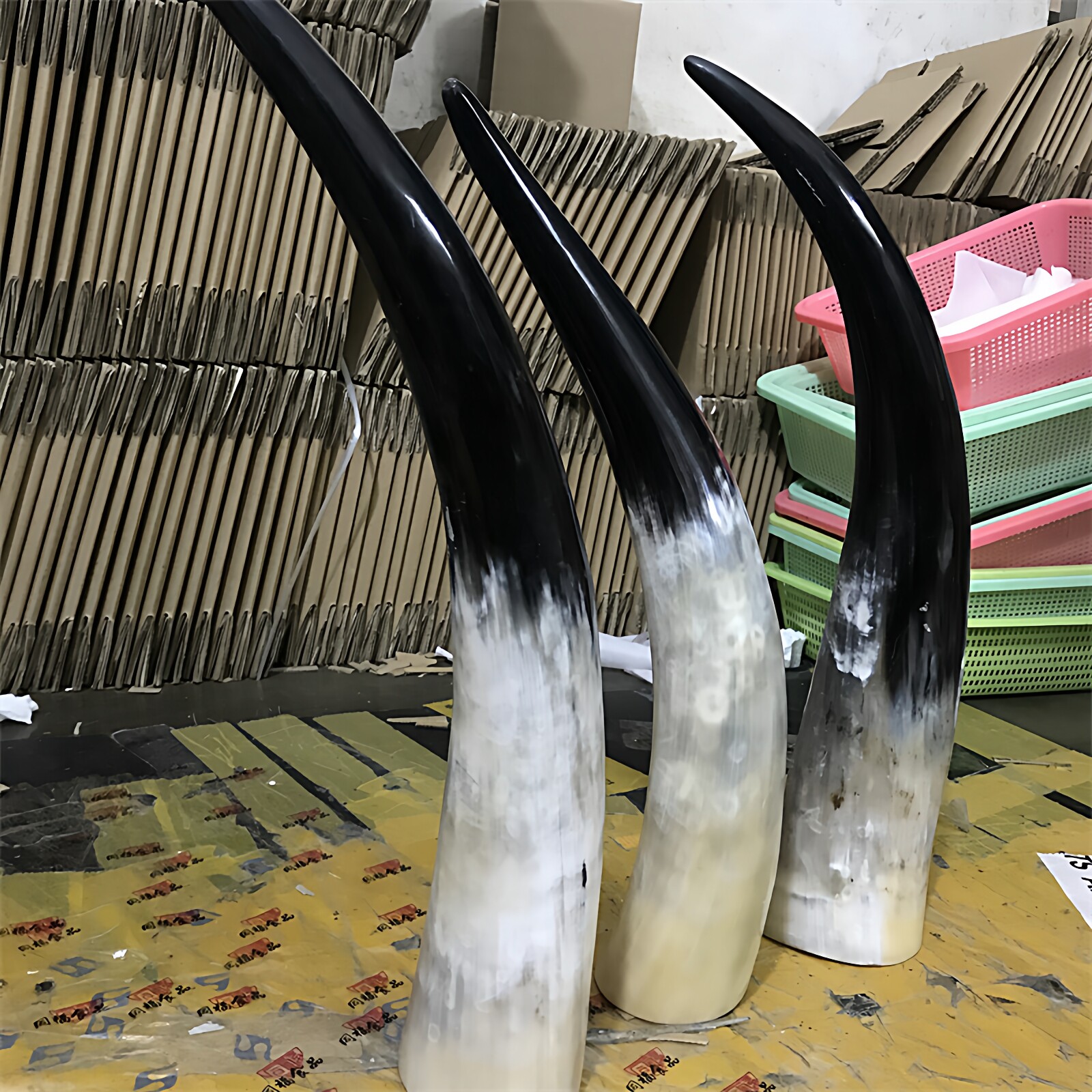 装饰品牛角-装饰品牛角促销价格、装饰品牛角品牌- 淘宝