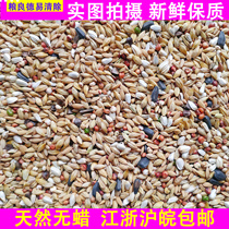 Liangliang Deyi a level to clear pigeon grain for hair pigeon food race pigeon feed bird food 45kg Zhejiang Shanghai and Anhui