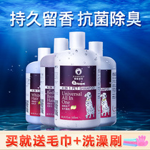 Ferret dog shower gel sterilization deodorization deodorization and itching pet Teddy golden hair white hair special snow carving fragrance cat supplies