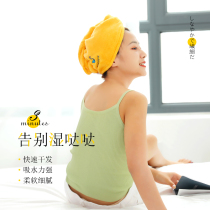 Dry hair hat female super absorbent quick-drying hat towel thickened hair wash hat headscarf wipe hair artifact shower cap