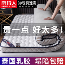Antarctic mattress pad Household latex pad Rental special tatami student dormitory single sponge mat