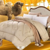 Camel hair quilt winter thickened camel velvet warm single double student autumn and winter quilt core cover