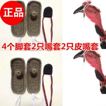 Cockfighting foot cover fighting chicken training protective gear cockfighting foot Cover mouth cover cockfighting domestication supplies cockfighting