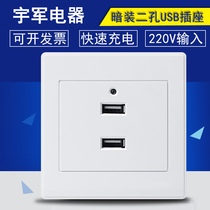 Type 86 two-position USB socket panel 220V to 5V two holes 2 USB charging wall socket low voltage 36V to 5V