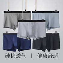 Mens underwear pure cotton flat angle Loose Suction sweat breathable Four corners Inner pants head student trendy short pants underpants
