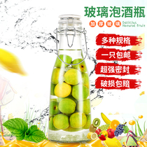 Self-wine wine container bubble Bayberry green plum wine bottle empty bottle bottle red wine glass bottle handle sealed jar