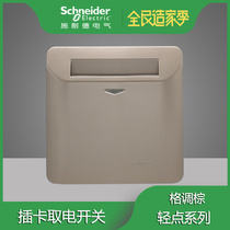Schneider tap style Brown with delay card power saving switch E8431EKT SZ