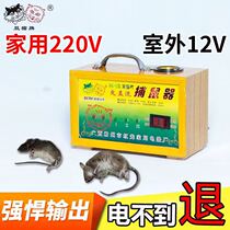 Double cat brand three-purpose lamp head type high voltage intelligent electronic mousetrap electric cat rodenticizer Field Special 12V battery
