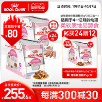 Royal juvenile imported cat wet food staple three textures Mousse soup meat block gel 85g * 12 non-snacks