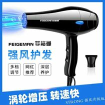 Xinjiang Feigerman hair dryer Household wind power hair salon Hair hair dryer hot and cold negative ion mute