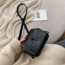 Hong Kong 2020 new fashion trend pet square French texture this year popular crossbody bag womens bag