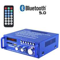 Mini small power amplifier speaker power amplifier card U disk radio DC 12V 220V Bluetooth power amplifier