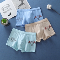 Boys underwear middle underwear boy underwear boy boy boy boy boys development period of 16 years
