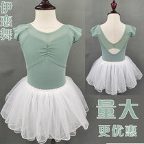 Young children dance to wear the girls long short sleeve autumn ballet dresses Chinese dance clothes Summer