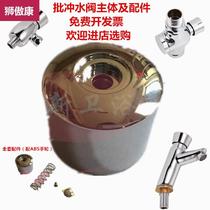 Special new batch hand flush urinal urinal flush valve toilet delay button spring water valve accessories toilet