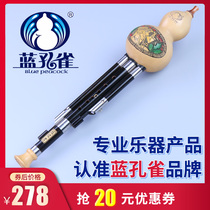 Blue Peacock Yunnan Musical Instrument C Descend B Small D G F Playing Type Students Beginner Ebony Gourd Silk