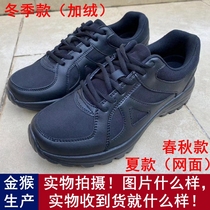 Golden monkey new spring and autumn training shoes mens summer black training shoes liberation shoes winter plus velvet labor protection rubber shoes running shoes