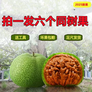 核桃文玩三棱-核桃文玩三棱促销价格、核桃文玩三棱品牌- 淘宝