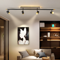 Minimalist track spotlights LED ceiling lights Corridor aisles Cloakroom surface mounted lights Living room without main lights Commercial spotlights