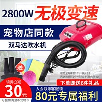 Spring Boat Pet Blow Machine A22-2300 Cat and Dog Double Horse High Power Silent Hair Dryer Large Dog Blowing Machine